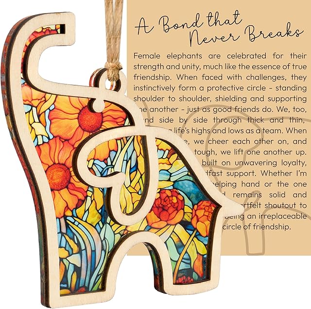 Best Friend Birthday Gifts for Women, Friendship Elephant Ornament with Story Card, Friendship Gifts for Women, Birthday Presents for Best Friends Sisters Special Bond Decor, Suncatcher