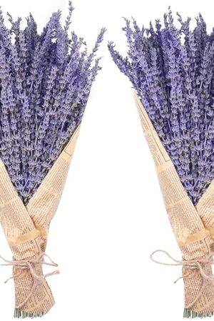 Dried Lavender Bundles, Uieke Natural Dried Lavender Flowers 280-300 Stems 16“ for Home Weeding Decoration Flower Arrangements Home Fragrance 2 Bundles
