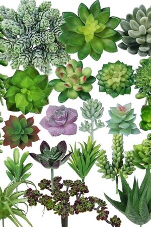 Winlyn 22 Pcs Bulk Artificial Succulents Plants Unpotted Small Aloe Hanging String of Pearls Cactus Green Fake Succulents for Succulent Garden Arrangement Centerpiece Wall Indoor Outdoor Home Decor