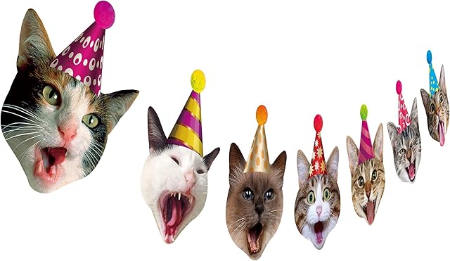 Birthday Cat Garland, Photographic Cat Faces Birthday Banner, Kitties Bday Party Bunting Decoration