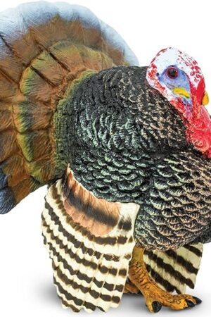 The Safari Ltd. Turkey Figurine - Realistic 3" Plastic Figure - Thanksgiving Decoration or Educational Toy for Kids Ages 3+