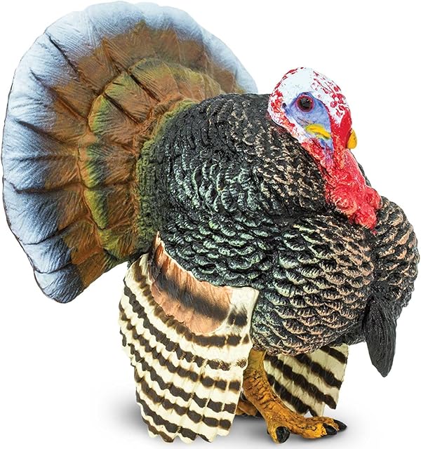 The Safari Ltd. Turkey Figurine - Realistic 3" Plastic Figure - Thanksgiving Decoration or Educational Toy for Kids Ages 3+