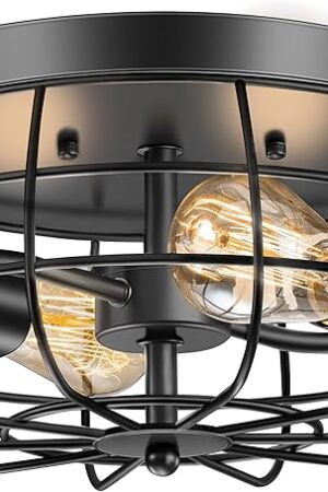 2-Light Farmhouse Ceiling Light Fixtures Industrial Black Metal