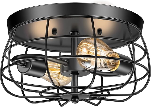 2-Light Farmhouse Ceiling Light Fixtures Industrial Black Metal