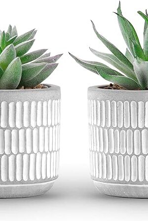 Der Rose Set of 2 Succulents Plants Artificial Fake Plants for Living Room Bathroom Bedroom Aesthetic Home Shelf Decor