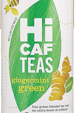 The Republic of Tea — HiCAF Gingermint Green Tea, 50 Tea Bags, High in Caffeine