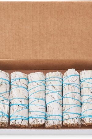 6 Pack White Sage ~ Sage Smudge Sticks for Smudging & Cleansing Energy ~ Bulk/Wholesale ~ Sustainably Grown (6 Pack)