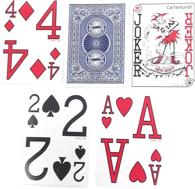 The Low Vision Playing Cards by Cartamundi