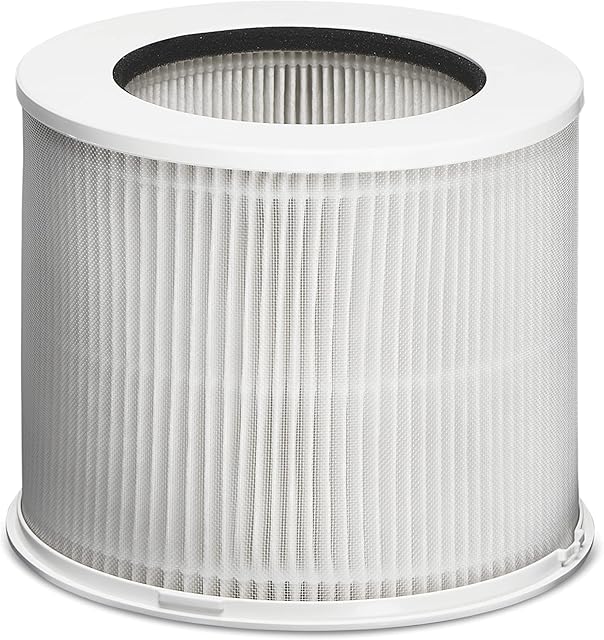 Clorox Tabletop Air Purifier True HEPA Replacement Filter, 200 Sq. Ft. Capacity, Removes 99.97% of Allergens up to 0.1 Micron, Compatible with 11020 & 11021, 1 Count (12020)