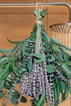 52 PCS Mix Dried Eucalyptus & Lavender Flowers Bundles for Shower, 17'' Natural Real Hanging Silver Dollar Eucalyptus Leaves Stems, Fragrance Fresh Plants Home Bathroom Decor (52pcs)