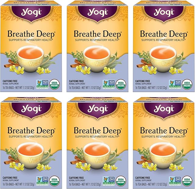 Yogi Tea Breathe Deep Organic Respiratory Tea - 6 Packs (16 Bags) | Supports Respiratory Health | With Ginger Root & Cinnamon Bark | Contains Licorice Root, Eucalyptus Leaf