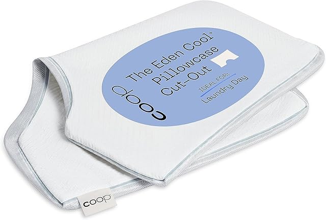 Coop Home Goods Cool+ Cut-Out Pillow Cover, Queen Size, Cut-Out Shape, Cooling Bed Pillow Case for Hot Sleepers, Ultra Soft & Breathable Pillowcase with Zipper and 2-Inch Gusset