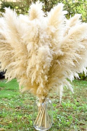 40" 11 PCS Dried Pampas Grass Decor Tall,Large Natural Beige pompas Grass,Tall Pampas Grass for Floor Vase,Wedding,Party,Farmhouse,Boho Home Decor,and Creating a Bohemian Ambiance