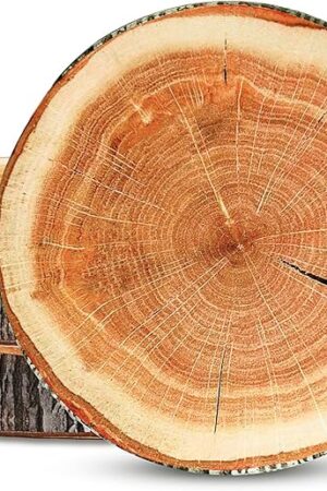 Coume 3 Pcs Wood Slice Pillow Round Floor Cushion 3D Digital Throw Pillow Decorative Tree Ring Soft Circle Seating for Kids Chair Home Couch Sofa Bedroom Decor(Emulation)