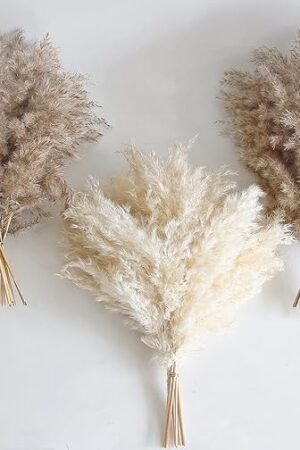 30 PCS Boho Decor, Fluffy Pompas Grass, Natural Dry Pampas Grass Small, Short Pampass Bulk for Boho Room Decor, Coffee Table Decor (17 inch )
