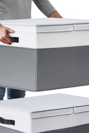 2 Pack EXTRA LARGE Blanket Storage Baskets with Lids, 22?x16?x12? Closet Organizers Bins for Clothes Towel/ Storage Box with Lid Handles/ Stackable Decorative Fabric Bins for Living Room, Nursery