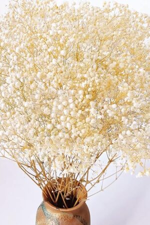 4000+ Dried Babys Breath Flowers Bulk - 17.2" Ivory White Dried Flowers Bouquet, Natural Gypsophila Branches for Vase Filler, Wedding, Home, Table Centerpiece Decor, Dry Flowers Bulk for DIY, Party