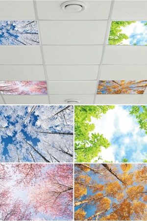 4 Pcs Fluorescent Light Covers with 40 Magnets Decorative for Classroom Ceiling Light 4 x 2 Feet Magnetic Light Covers Filter Easy Install for Office Hospitals & Home Drop Ceiling Supplies (Season)