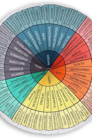 Wheel of Emotions Feelings Pillow Round Throw Circle Seating Floor Cushion Comfortable Round Pillow Floor Cushions Mat for Therapist Counseling Office Home Sofa Decor (Dark Colors,20 x 20 Inch)