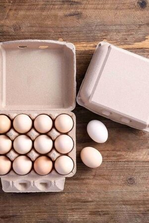 Vintage Egg Cartons 30 Pack, Blank Natural Paper Pulp Square Dozen Egg Cartons Eggs, Classical 3x4 Style Holds Up to One Twelve 12 Count Chicken Eggs, Sturdy Design Made from Recycled Cardboard