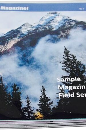 Vinyl Magazine and Tract Organizer
