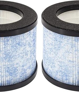 C102/MA-04GB Filter Replacement, Compatible with Miko MA-04GB & C102 IBuki and Okaysou AirMic4S Air Purifier, Compare to MA-01CW & MA-04GB Filter, 2 Pack