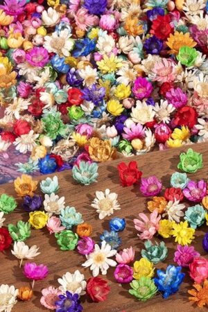 300 PCS Small Dried Flowers for Crafts - Mini Dried Flowers for Resin, Tiny Natural Real Dried Pressed Flowers Bulk for DIY Jewelry Earrings Epoxy Molds, Candles Soap Making