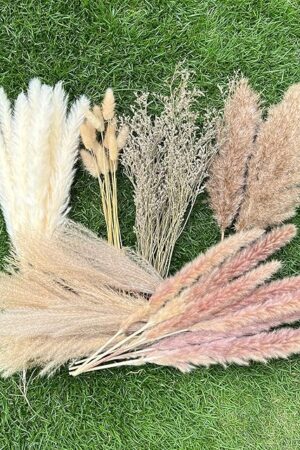 100Pcs Pampas Grass Boho Home Decor 17 inch Natural Dried Flowers-Pampas Grass Contains Bunny Tails White Pampas Brown Pampas.Boho Decor for Farmhouse Wedding Boho Wall Bathroom Office Kitchen…