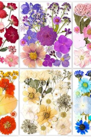 221PCS Real Nature Dried Pressed Flowers for Resin Craft, Dry Pressing Floral with Butterfly Transparent Stickers Set for DIY Jewelry Making Nail Card Scrapbook Art Eternity Summer