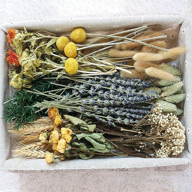 DIY Natural Dried Flower Set, Bulk Dried Flowers for Vase, Dried Flowers with Stems, Dried Roses, Mini Dried Flower Bouquets.(Brown)