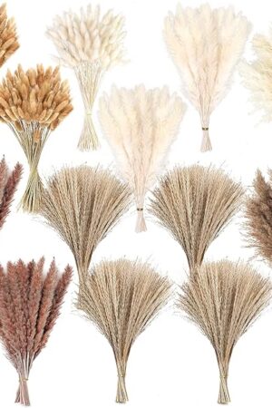 300 PCS Dried Pampas Grass Decor, Dried Flower Bouquets for Wedding, Home, Centerpiece Table, Modern Home, Western Living Room, Nurserie, Nursery, Boho Room, Beach, Women Office, and Boho Decor