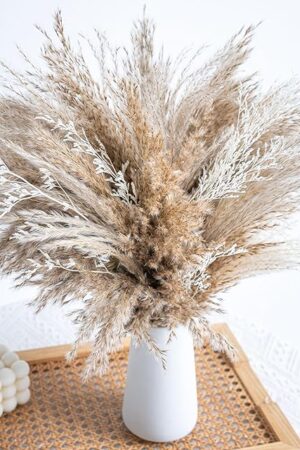 WILD AUTUMN Fluffy Boho Decor Dried Grass - Dried Pampas Grass Short pompas Grass Vase Filler Dried Flowers Wedding Home Table Rustic Farmhouse Decor