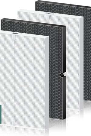 116130 Replacement Filter H for Winix 5500-2 AM80 Plasmawave Air Purifier, True HEPA Filter and Activated Carbon Filter Combo Pack, 2 Set