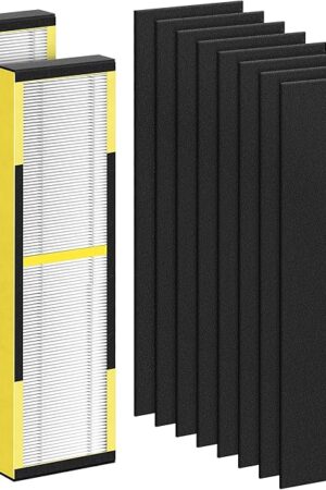 CHIVALZ FLT4825 Filter B Replacement for FLT4825 HEPA Replacement Filter, Compatible with Air Purifier AC4825 AC4300 AC4800 AC4900 AC4850, 2 Hepa Filters + 8 Carbon Filters, 2 Pack