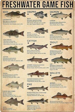 Boy's Fishing Gifts Vintage Fresh Water Gamefish Knowledge Tin Sign for Man Cave Boys Hunting Room Bedroom Lake House Cabin Wall Art Decor 8x12 Inch (3069)