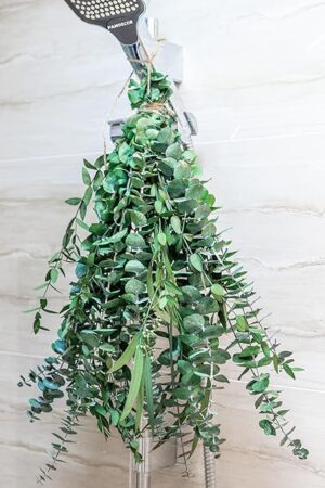 3kinds Natural Eucalyptus Stems 12PCS - 17inch Eucalyptus Set for Shower Bundle Real Eucalyptus Leaves Branches Vase Filler, Dried Flowers Arrangement Home Decor Wedding Decor (12PCS-17INCH)