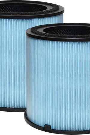 Air Purifier AP1001 Replacement Filter, Compatible with AIRTOK AP1001 Air Purifier, Part # AP1001-RF, 5-Layer Purification System, H13 True HEPA Filter, 2-Pack