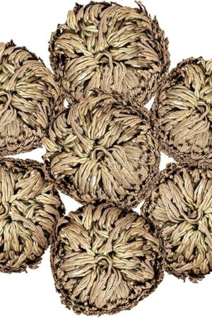 7 Pack Rose of Jericho Dried Plants - Rosa de Jerico Original, Dried Fern Like Scale Leaf Prayer Plants for Spiritual Purification, Home Decor