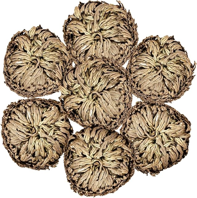 7 Pack Rose of Jericho Dried Plants - Rosa de Jerico Original, Dried Fern Like Scale Leaf Prayer Plants for Spiritual Purification, Home Decor
