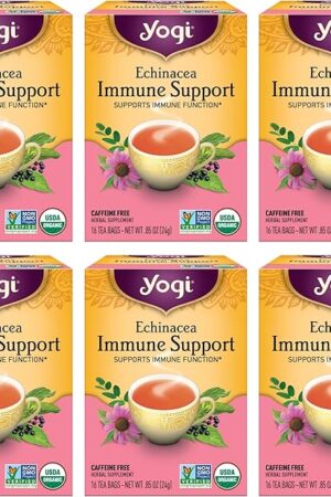 Yogi Tea Echinacea Immune Support, 6 Packs (16 Bags/Pack), Organic | Contains Peppermint Leaf, Lemongrass, Cinnamon Bark | Includes Echinacea Purpurea, Licorice Root & More | Immunity Support Formula