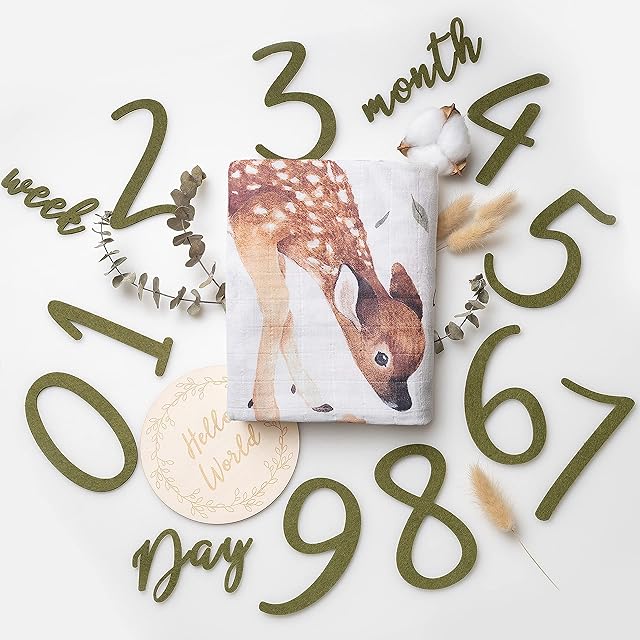 100% Organic Cotton Muslin Monthly Baby Milestone Blanket with Wooden Hello World Newborn Sign, Newborn Photography Props, Birth Announcement Sign, Woodland