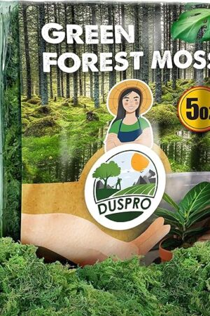 [Upgraded] DUSPRO Green Moss for Crafts, Forest Moss Potted Plants, Decorative Mosses for Table Centerpieces Wedding Christmas Fairy Party Decor, Indoor Planters, DIY Project (5 oz)