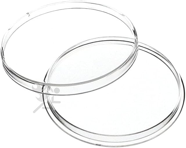 The OnFireGuy 10pcs 40.6mm Direct Fit H40 Coin Holder Capsules for 1oz Silver Eagles | Protective Coin Cases for American Silver Eagles, 1oz Silver Panda, 1oz Silver Australian Coins