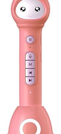 The Russian & English Learning and Educational Toys for 3-10 Year olds,Interactive Reading Pen Set with 40 Talking Flash Cards, 50 Children's Songs and Stories, Alphabet, Music Cards (Pink)