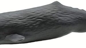 The Safari Ltd. Sperm Whale Figurine - Lifelike 9" Whale Figure - Ocean Animal Toy for Boys, Girls and Kids Ages 1+