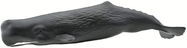 The Safari Ltd. Sperm Whale Figurine - Lifelike 9" Whale Figure - Ocean Animal Toy for Boys, Girls and Kids Ages 1+