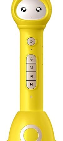 The Russian&English Learning Educational Toys for 3-10 Year olds, Children's Interactive Reading Pen Set with 40 Talking Flash Cards, 50 Children's Songs and Stories, Alphabet, Music Cards