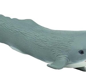 The Safari Ltd. Sperm Whale Figurine - Detailed 8.5" Plastic Model Figure - Fun Educational Play Toy for Boys, Girls & Kids Ages 3+