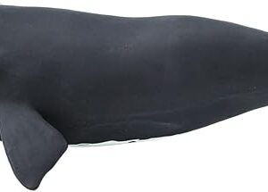 The Safari Ltd. Right Whale Figurine - Lifelike 9.25" Ocean Animal Figure - Educational Toy for Boys, Girls, and Kids Ages 3+