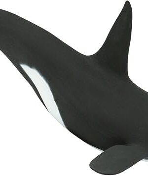 The Safari Ltd. Killer Whale (Orca) Figurine - Detailed 7" Plastic Model Figure - Fun Educational Play Toy for Boys, Girls & Kids Ages 3+